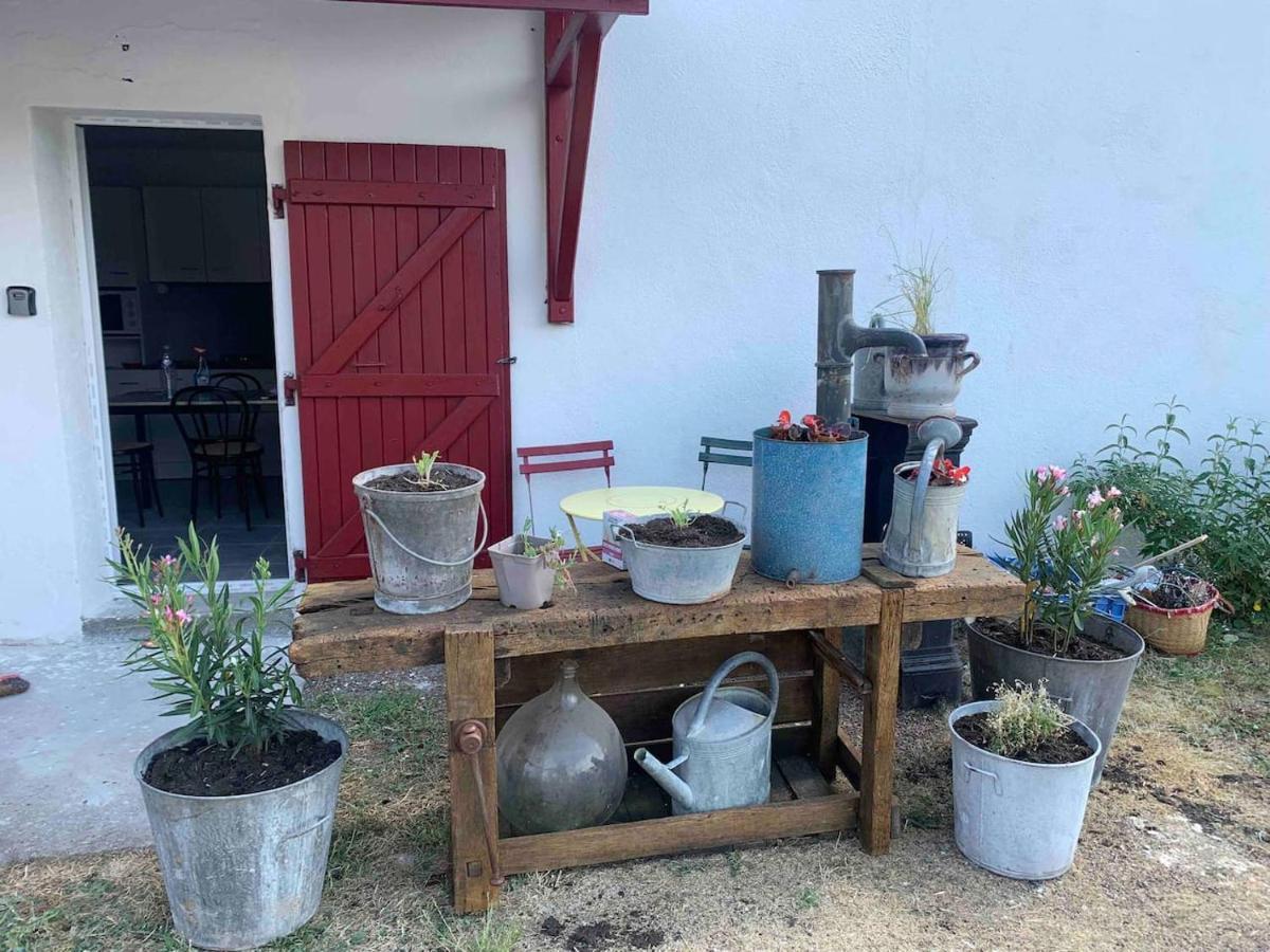 Le Depot Appartement Du Port A Champvert Eksteriør bilde